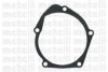 CIFAM 824-079 Water Pump